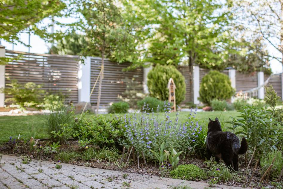 Modern garden chair beside blooming flower bed
